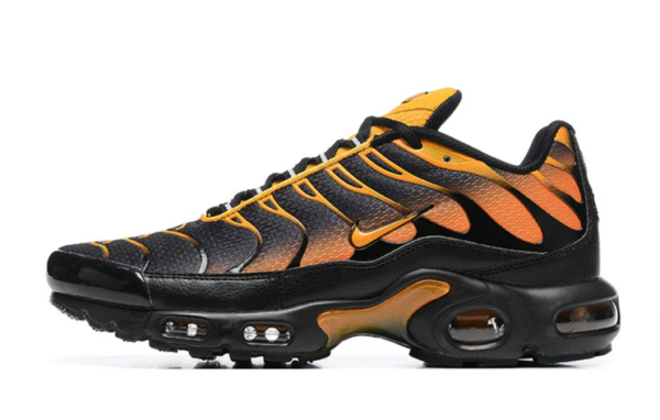Air Max Plus TN Black Sundial Black Shoes