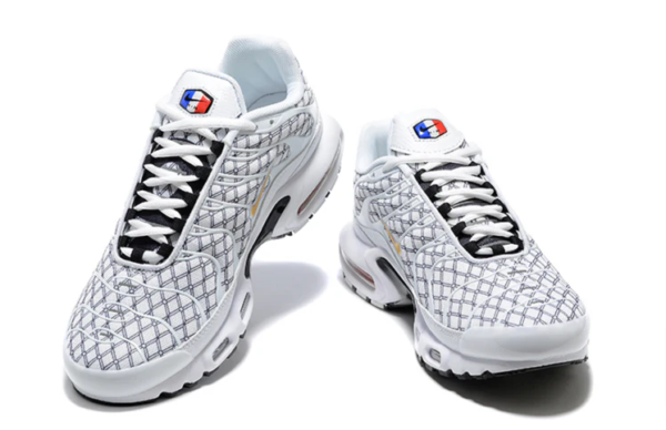 Air Max Plus TN France