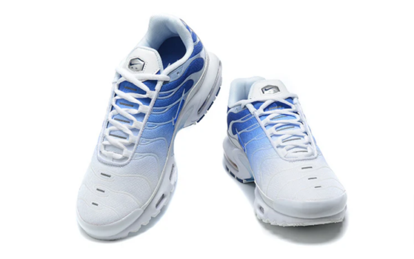 Air Max Plus TN White Blue
