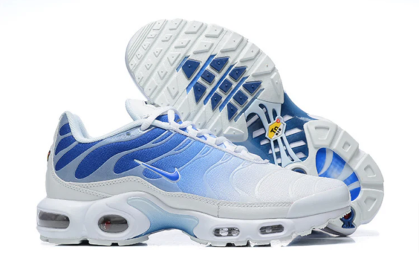 Air Max Plus TN White Blue New Shoes