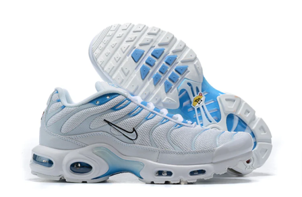 Air Plus TN white and blue New Shoes